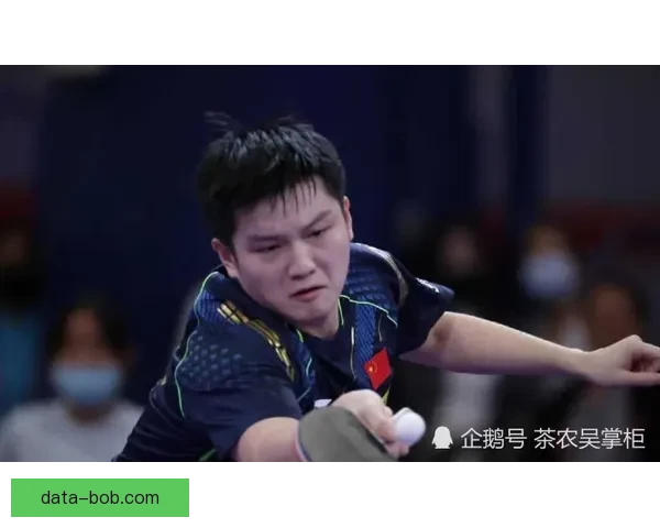 BOB体育最新赛程安排全解析助你掌握赛事动态与精彩瞬击