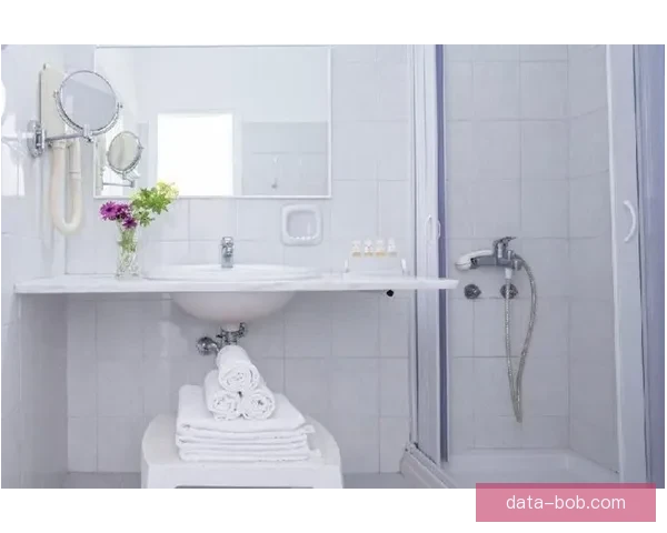 拉齐奥对阵帕尔马直播焦点诺斯林强势回应德尔普拉托全场实时动态追踪